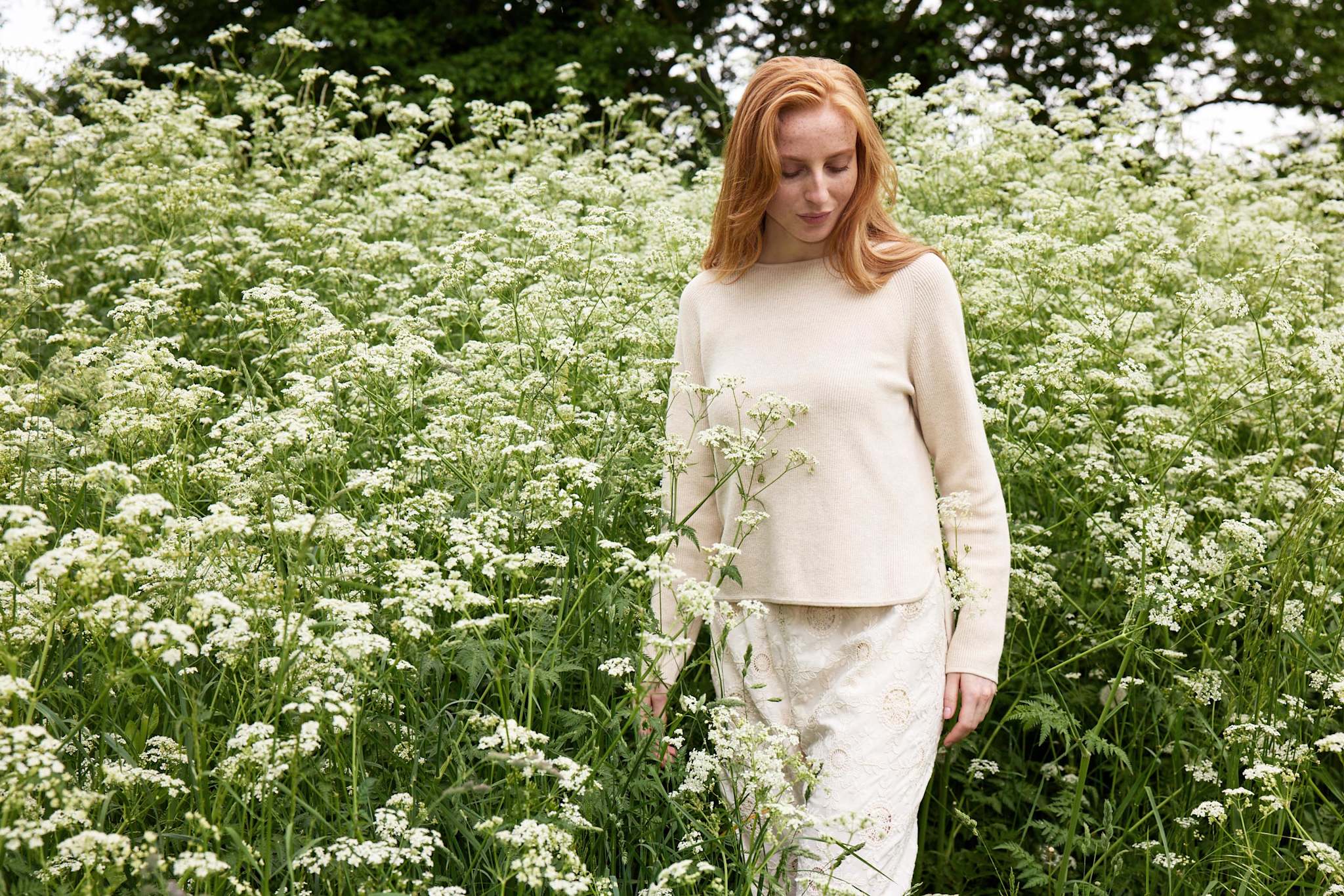 nectarine - light oat